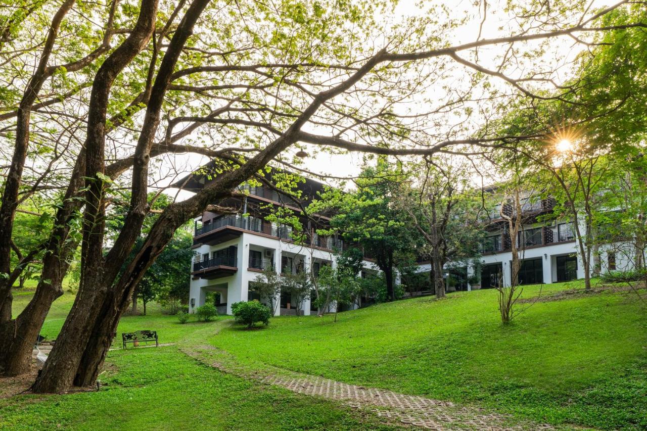 Rain Tree Khao Yai Hotel Pak Chong Exterior foto